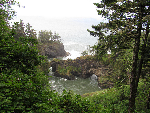 7405321538_ae5bf75ba3_z